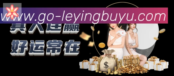 战术分析频道